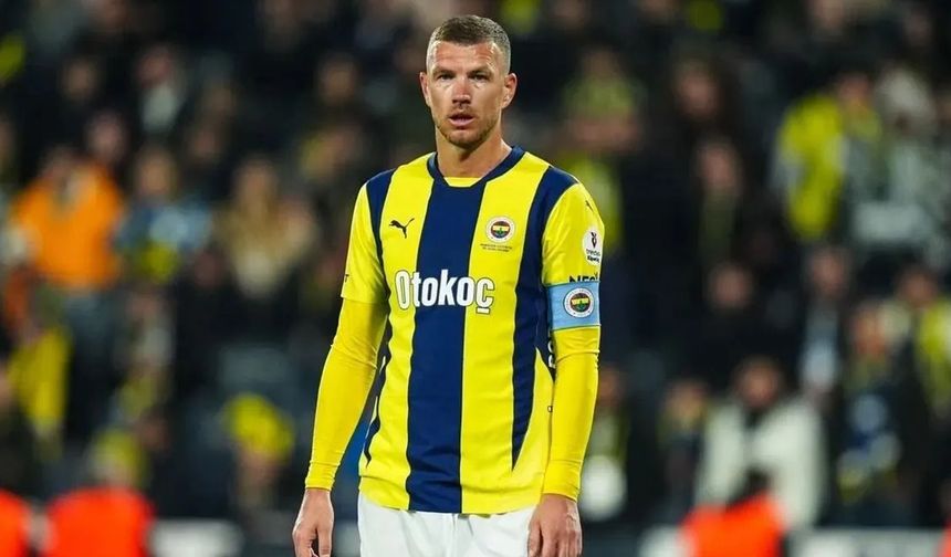 5. Edin Dzeko - Fenerbahçe

12 gol