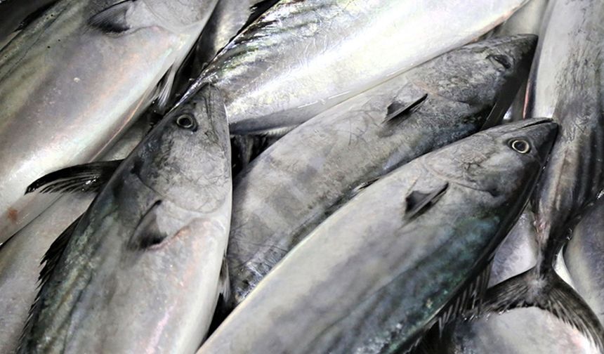 PROTEİN AÇISINDAN ZENGİN BESİNLER

Örnekler: Vejetaryen olmayanlar için birinci sınıf protein-Yağsız kümes hayvanları, balık, yumurta süt, lor, baklagiller.

Vejetaryenler için birinci sınıf protein- Süt ürünleri (süt, peynir, yoğurt)

Bitki bazlı protein- Baklagiller, baklagiller, soya.

Neden: Protein açısından zengin besinler, hücre onarımını ve büyümesini destekleyerek, bağışıklık sistemini güçlendirerek, hormonları düzenleyerek, iltihabı azaltarak ve detoksifikasyona yardımcı olarak kanser önlenmesine yardımcı olur.

Kanser hücreleri şekerle beslenir, yüksek şekerli, yüksek kalorili yiyeceklerden kaçınmak iyi bir yoldur, ancak tükettiğimiz her şey vücutta nihayetinde şekere dönüştürülür, Ancak protein burada bir savaşçı gibi davranarak bir öğünün glisemik yükünü azaltmaya yardımcı olur.

Bu eylemler sağlıklı hücreleri korumaya, kansere karşı savunmayı güçlendirmeye ve kanser gelişme riskini düşürmeye yardımcı olur.

Ayrıca iyi bir kaynaktan protein takviyeleri almayı da düşünebilirsiniz.
