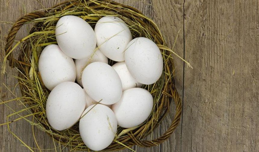 SALMONELLA NELERE NEDEN OLUR?

Salmonella ateş, mide krampları, ishal, kusma ve nadir durumlarda uzun süreli eklem ağrısına neden olabilir.