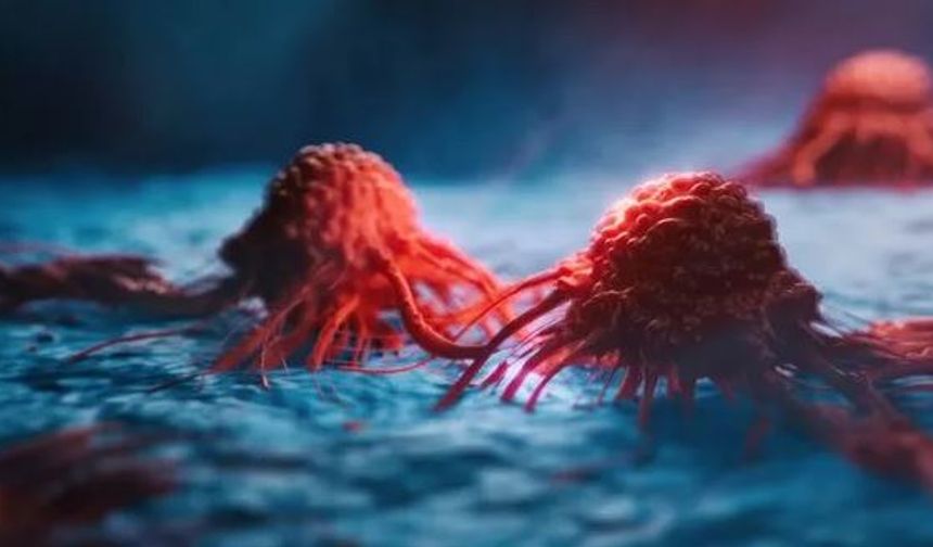 Genetik farklılıkları en aza indirgemek için ikizler üzerinde yapılan çalışmaları inceleyen araştırmacılar, dövme yaptıran kişilerin cilt kanserine yakalanma riskinin, hiç dövmesi olmayanlara kıyasla 1,62 kat fazla olduğunu ortaya koydu.

