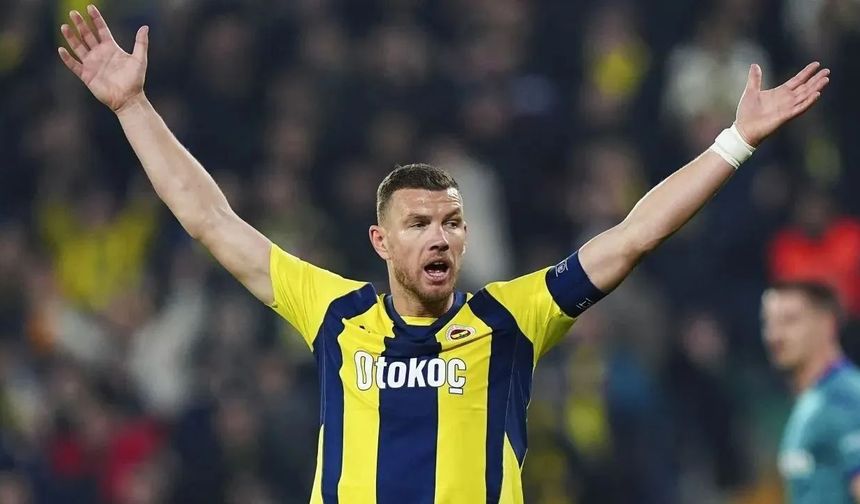 4. Edin Dzeko (Fenerbahçe)

12 gol