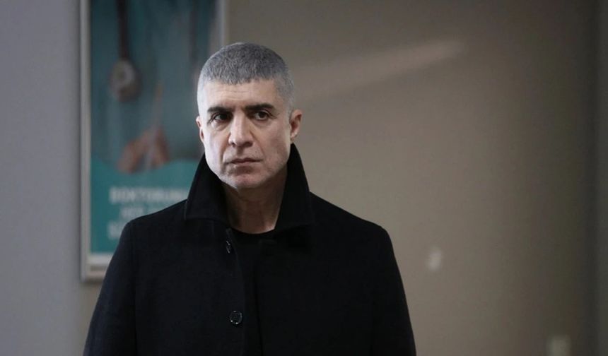 İstanbul'un Sarıyer ilçesinde sit alanı içerisinde bulunan arazideki üç villaya eklemeler yaptığı gerekçesiyle oyuncu ve şarkıcı Özcan Deniz hakkında soruşturma başlatılmıştı.