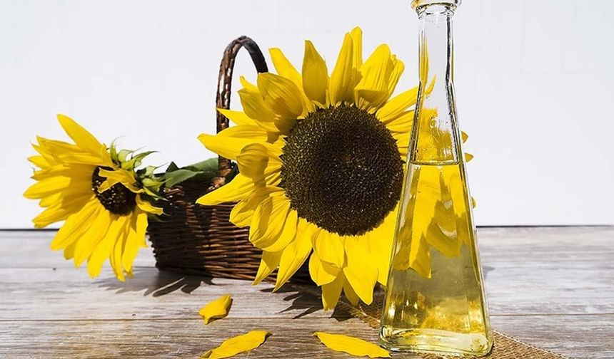 YAĞDA ERİYEN VİTAMİNLERİ KAÇIRMA RİSKİNİZ VAR

Yağ yemeyi bıraktığınızda, belirli vitaminleri emme yeteneğiniz etkilenebilir. A, D, E ve K vitaminlerinin düzgün bir şekilde emilebilmesi için yağa ihtiyaç vardır. Yağ olmaması zayıf emilime yol açabilir ve zamanla potansiyel eksikliklere yol açabilir. Örneğin, herhangi bir sos veya yağ olmadan çiğ havuç salatası yiyorsanız, vücudunuz beta-karoteni (A vitamini öncüsü) verimli bir şekilde çıkaramayabilir.