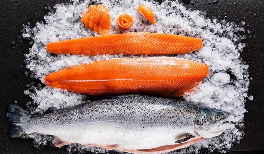 BAŞLANGIÇ: ZEYTİNYAĞLI SOMON

Dr. Berryman, menüsüne somon terrini ile başlıyor. Omega-3 yağ asitleriyle dolu bu balık, iltihapla mücadelede ve beyin ile kalp sağlığının korunmasında oldukça faydalı. Ayrıca somon, enerji artırıcı özelliğiyle sporcular için de ideal bir seçenek. Yanında sunulan zeytinyağlı sos ise, polifenollerle dolu olup, kan şekeri seviyelerini iyileştirmekten sindirimi desteklemeye kadar pek çok fayda sağlıyor. Aynı zamanda, polifenoller yaşlanma karşıtı özelliklere de sahip, bu da onu uzun vadede sağlığınız için bir kazanç haline getiriyor.
