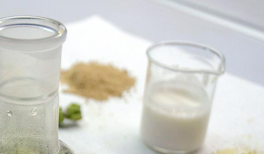 KEFİR

Kefir, probiyotikler açısından zengin olup bağırsak sağlığını destekler, sindirimi düzenler ve bağışıklık sistemini güçlendirir. Ayrıca, içerdiği kalsiyum ve magnezyum sayesinde kemik sağlığını korur ve kronik hastalıklara karşı koruma sağlar.