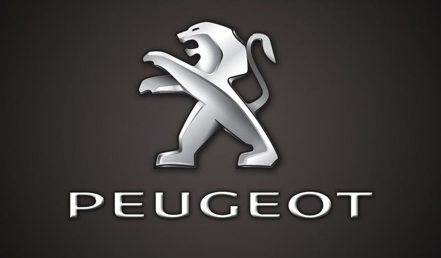 29. Peugeot 504 (Afrika'da)

Net kilometre kayıtları zor ama Senegal, Nijer ve Cezayir gibi ülkelerde 1 milyon km'yi geçen çok sayıda 504 mevcuttur.

Peugeot bizzat 504'ün 1 milyon km dayanabileceğini 1970’lerde reklam kampanyalarında vurgulamıştır.