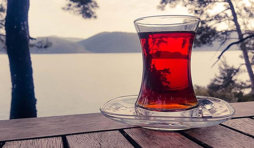KIRMIZI ÇAY

Kırmızı çay olarak bilinen rooibos çayı, birçok sağlık faydası sunar. Antioksidanlar açısından zengin olan bu çay, bağışıklık sistemini güçlendirir, kalp sağlığını destekler ve sindirimi düzenler. Kafeinsiz olması sayesinde günün her saatinde tüketilebilir ve rahatlatıcı etkisiyle stresi azaltmaya yardımcı olur.