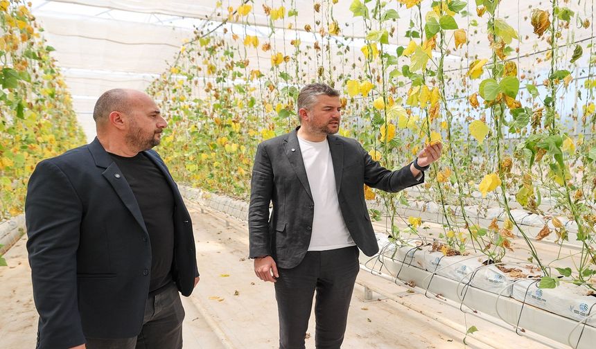 Buca Belediyesi’nin serasına hain saldırı