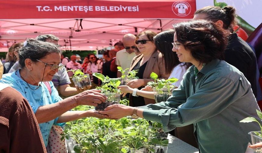 Menteşe Belediyesi’nden 60 bin ata tohumu fidesi