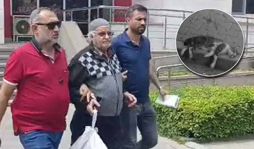 Sokak kedisini tüfekle öldüren saldırgan savcının itirazıyla tutuklandı