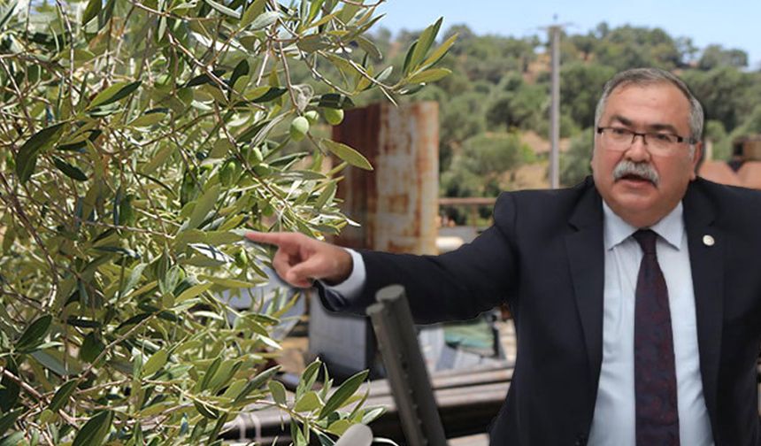 CHP'den 5 köyü etkileyecek projeye tepki! "Katliama imza atılacak"