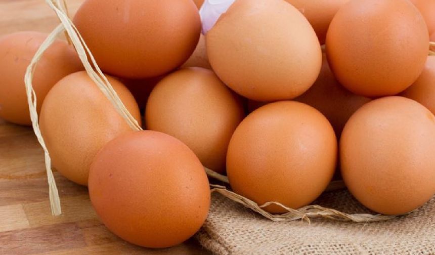Bir adet yumurta yaklaşık 6 gram kaliteli protein içeriyor. Bu, kasların gelişimini desteklemenin yanı sıra cilt, saç ve bağışıklık sistemi için de önemli. Aynı zamanda tok tutma özelliği sayesinde özellikle spor yapanlar ve kilo kontrolü sağlamak isteyenler için ideal bir seçenek.