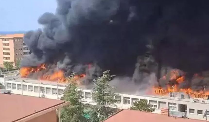 İtalya'daki Tuscia Üniversitesi'nde korkutan yangın