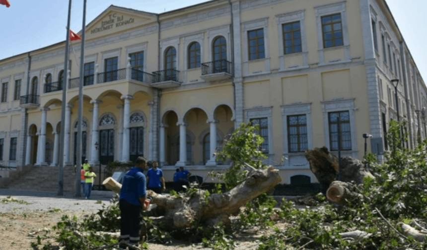 İzmir Valiliği önündeki 120 yıllık çınar devrildi!