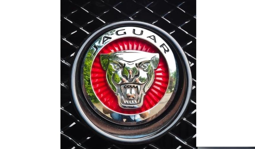 5- JAGUAR

Motor arıza oranı yüzde 1. Ortalama her 100 araçta 1 arıza var.