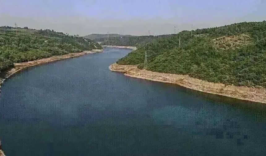 15 Haziran yüzde 72,11
16 Haziran yüzde 71,75