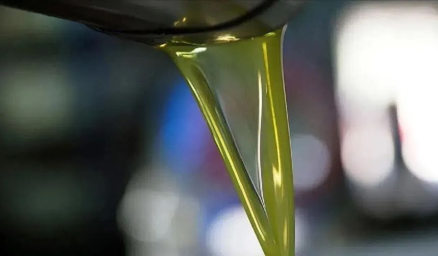 Birçok markanın zeytinyağında uygunsuzluk tespit edildi.