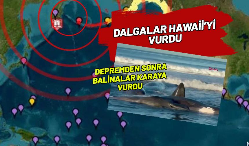 Rusya'da 8,8 büyüklüğünde deprem! Dev tsunami hızla ilerliyor