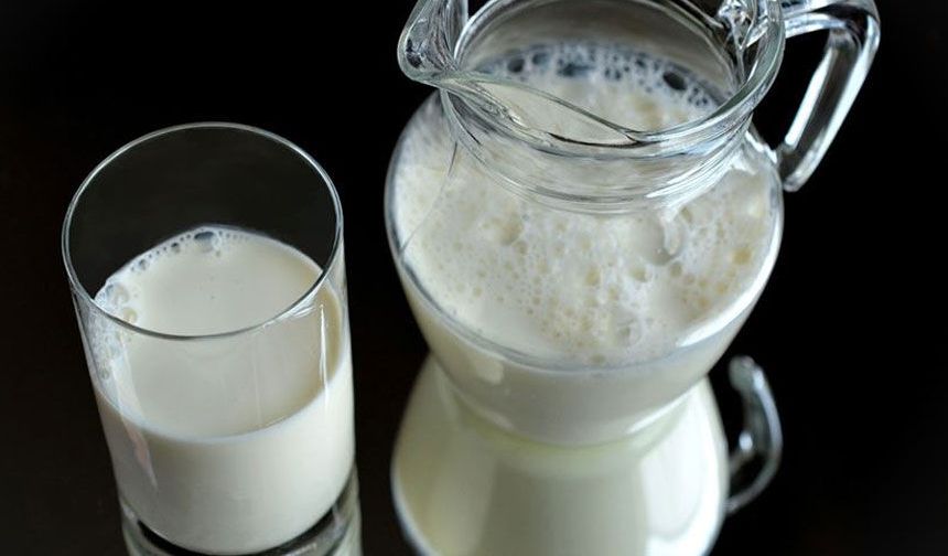 Uzmanından gebelere çiğ süt uyarısı