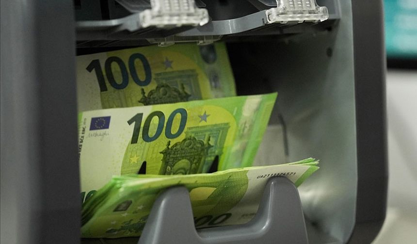 Dev bankadan Euro'ya yatırım yapanlara uyarı