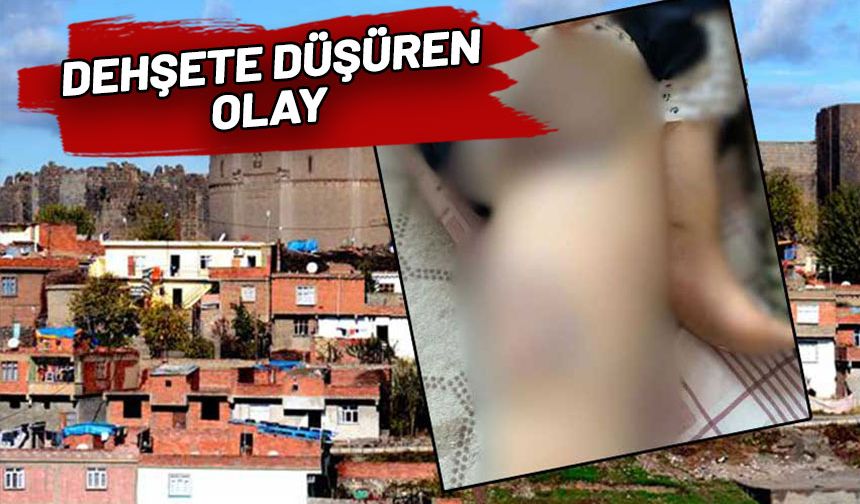 Eve geldi, kapı kilitli diye eşini ısıtıcının demir ayağıyla darbetti
