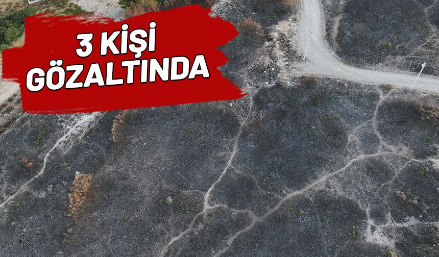 İzmir'deki yangından geriye bu görüntüler kaldı! Havadan müdahale yeniden başladı