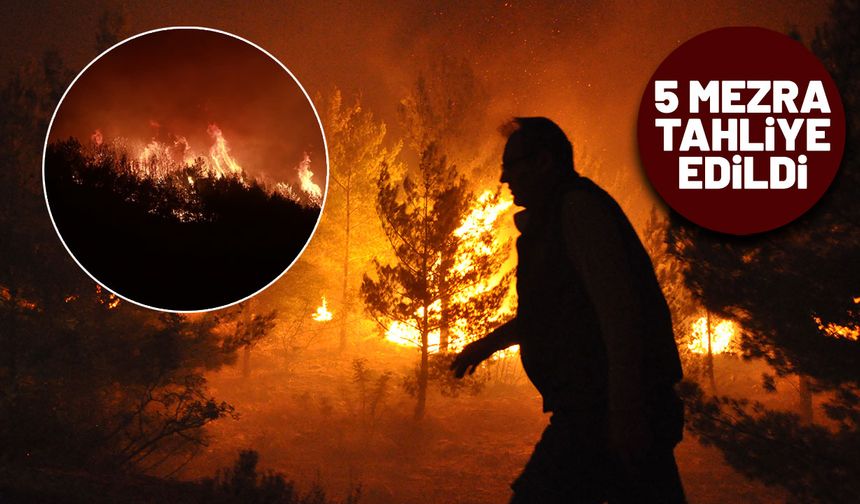 Bu sefer alevler Mersin ve Hatay'dan yükseldi