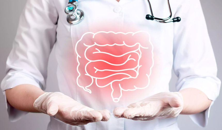 Harvard’lı uzman açıkladı! Kolon kanserine karşı bu 4 meyveyi sofranızdan eksik etmeyin