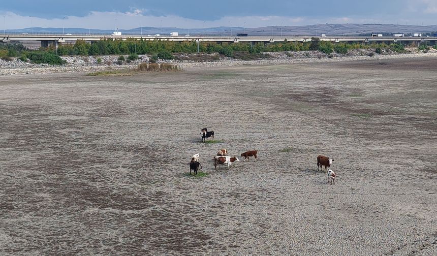 İstanbul'da tehlike çanları çalıyor! Barajlarda yağışa rağmen kritik düşüş