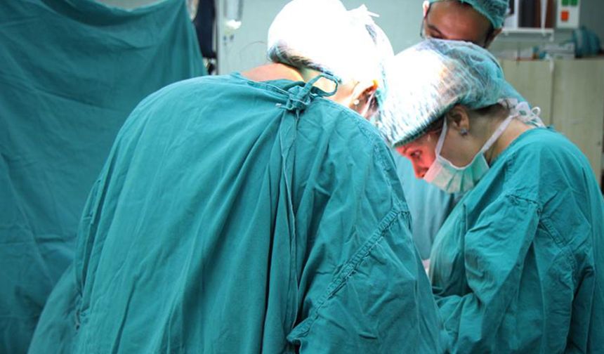 Tıp dünyasında çığır açan gelişme! Domuzdan alınan karaciğer insanda çalıştı