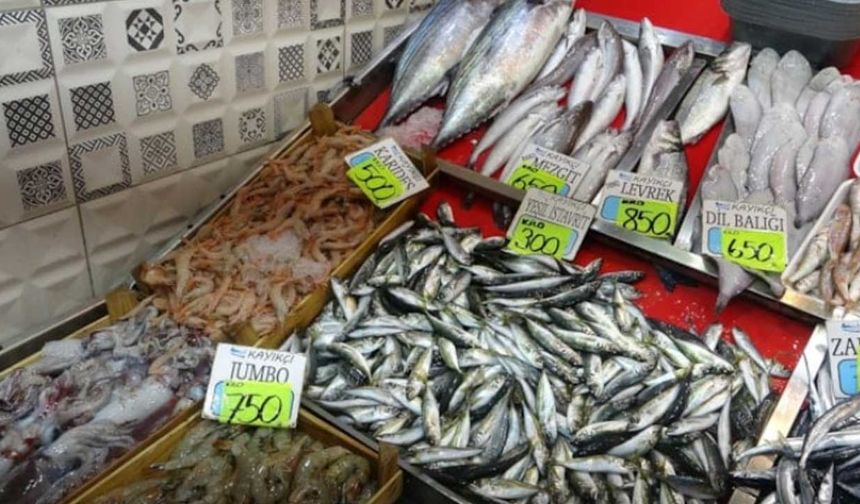 Palamut, istavrit, kolyoz ve sardalya severlere kötü haber
