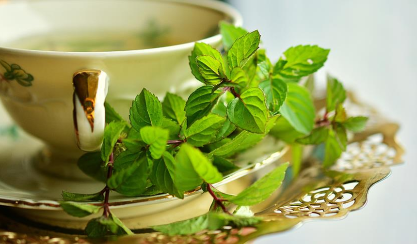 Havalar soğudu, sıklıkla tüketilmeye başladı! Uzman isim toksin riskine dikkat çekti