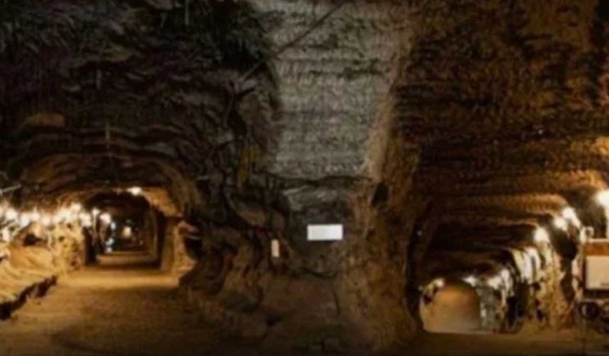 Tehlikeli araştırma! Alaska'da 40 bin yıldır donuk mikroplar canlandı