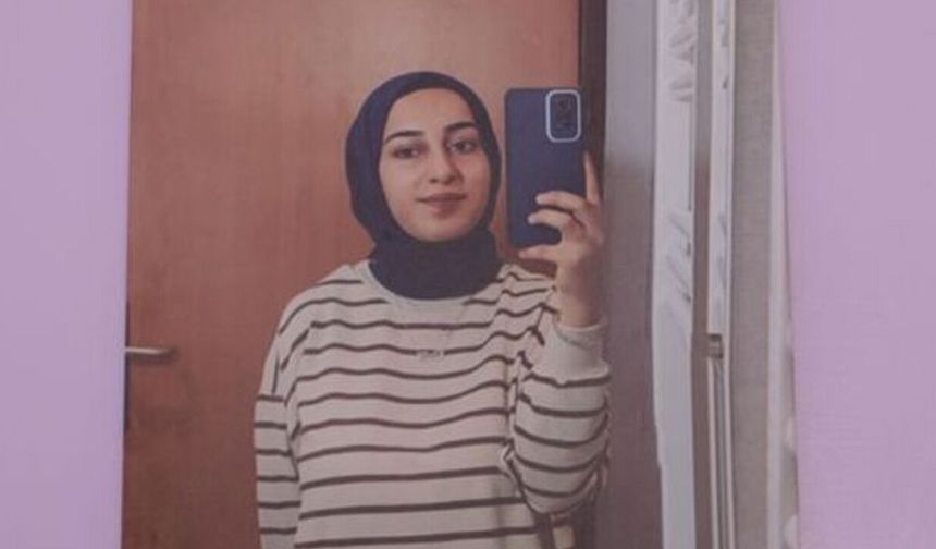 Van Barosu, Rojin Kabaiş dosyasından çekildi