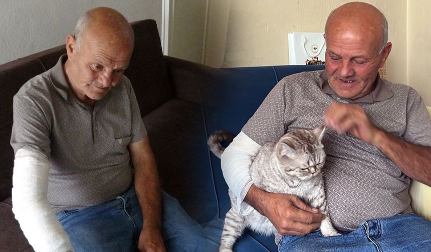 Mama verdiği köpek kolunu ısırdı 'hayvan sevgimden vazgeçmem' dedi