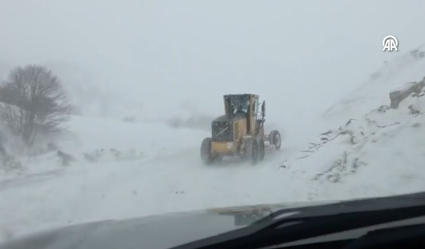 Artvin'de çığ meydana  geldi! Bölgeden korkutan ihbar