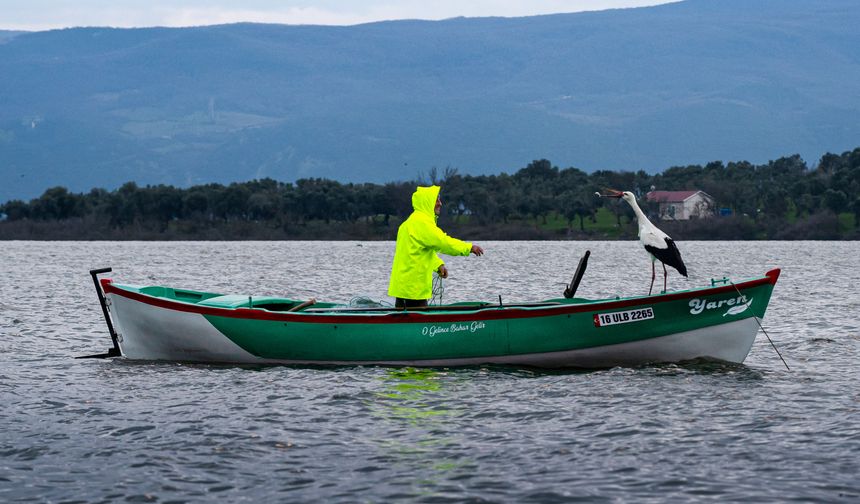 Yaren leylek 15. kez Adem Amca'nın kayığına kondu