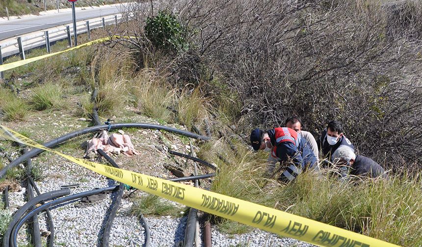 Antalya'da yol kenarında kadın cesedi bulundu