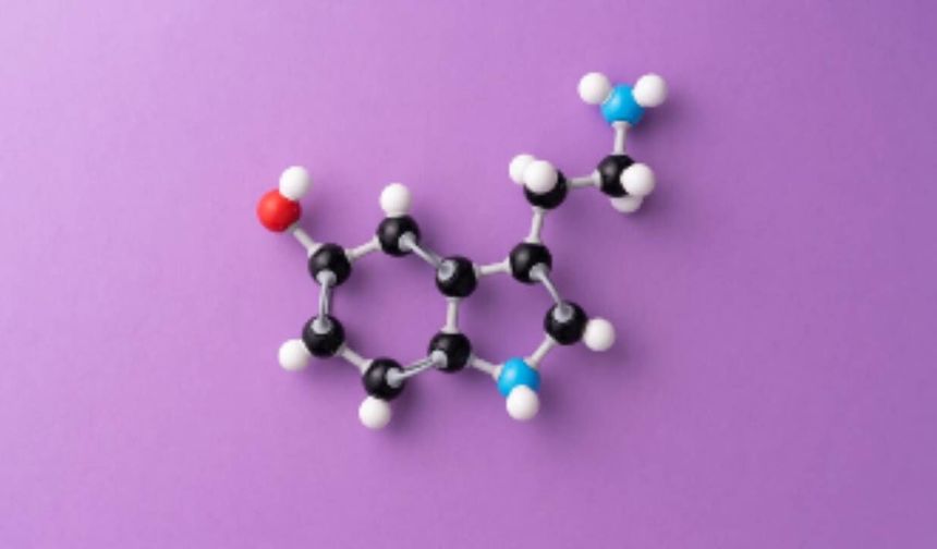 Probiyotik Nedir? Faydaları ve Doğru Kullanım Rehberi