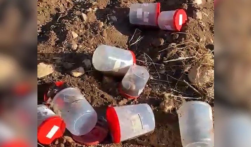 Mezarlıktaki plastik varilde 21 insan cenini bulundu