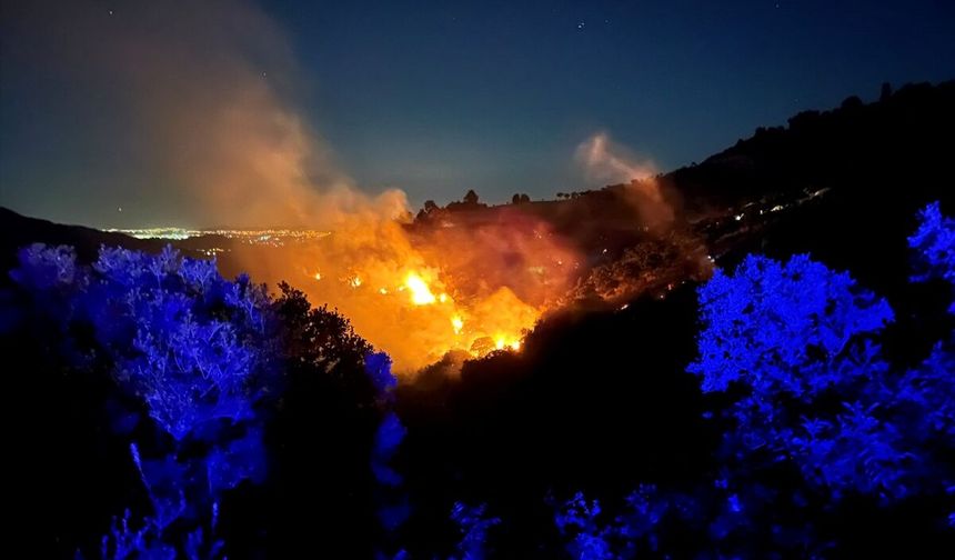 İzmir'de ormanlık alanda çıkan yangın kontrol altına alındı