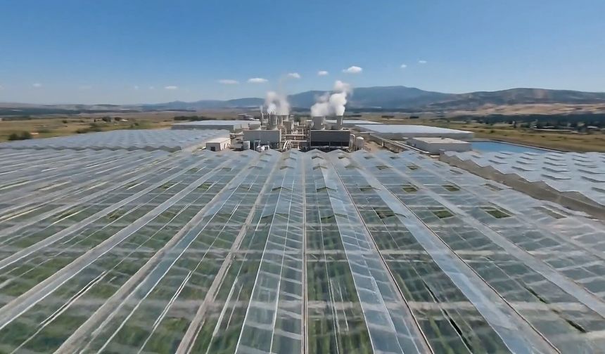 Bakan Yumaklı: Simav Jeotermal Isıtmalı Sera Organize Tarım Bölgesi üretime hazır