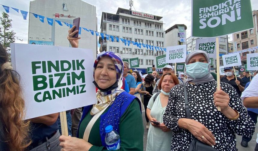 SOL Parti'nin düzenlediği Fındıkta Sömürüye Son mitingi Fatsa'da gerçekleşti. Mitingde konuşan SOL Parti PM Üyesi Pelin Bektaş, "İşgalci şirketler ve onlara yasalarla yardım eden işbirlikçiler. Soyguncular saray oturanları, çocuklarımızın geleceğini çalıyorlar bize yeme içme okuma diyorlar. Onlar fındığa ekmeğe canımıza düşmanlar." ifadelerini kullandı. Mitingde fındık üreticilerine de söz verilirken, Bektaş'ın konuşmasının ardından sanatçı Ali Asker sahne aldı.