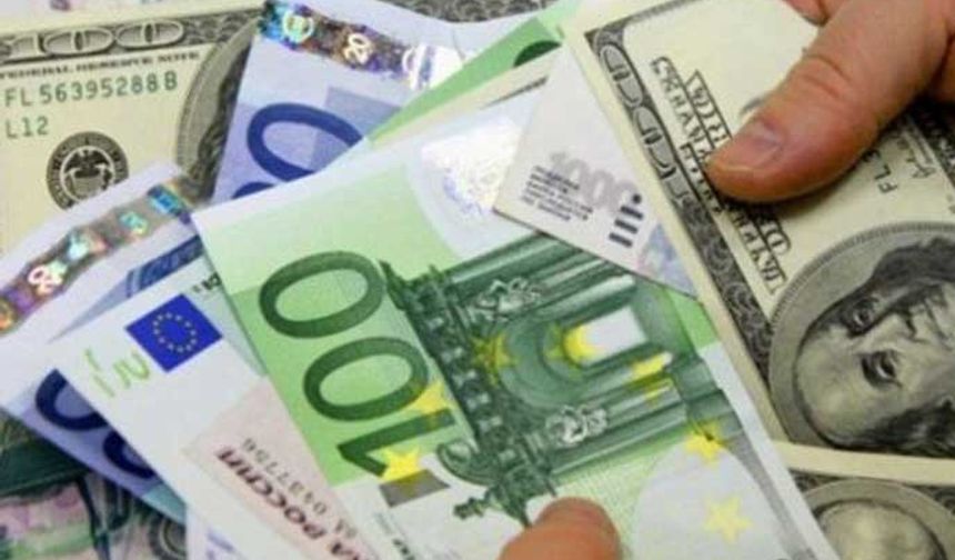 Geçer'in paylaşımına sosyal medya kullancılarından da yanıt geldi. Yapılan yorumlar şöyle: "Bence hükümet başarılı. Bu enflasyon ortamında dolar 30 lira olmalıydı", "Her ay yeni bir hedef rakam. Ne güzel Dünya."