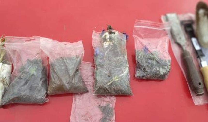 Tarım ve Orman Bakanlığı DKMP Genel Müdürlüğü Amasya Şubesi ekipleri, biyolojik çeşitlilik açısından önemli bir konumda Amasya'daki arazide tür izleme çalışmaları sırasında yabancı plakalı aracı gördü. Aracın çevresinde yapılan araştırmada 2 kişinin arazide bitki toplamaya çalıştığı görüldü.