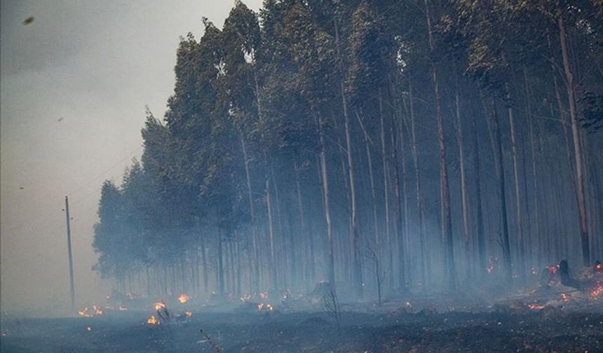 İtfaiye ekipleri tarafından yangına müdahale ediliyor. Ancak hava koşullarının elverişsiz olması nedeniyle yangın henüz kontrol altına alınamadı.