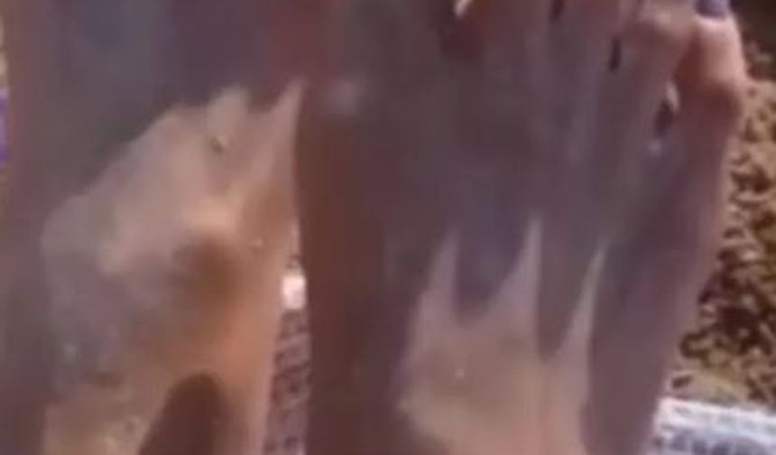 Bu paylaşımı görenler gözlerine inanamadı ve 'Bu gerçek olamaz', 'Uzaylı ayağı gibi', 'Topuklu giymekten herhalde' gibi yorumlar yaptılar.