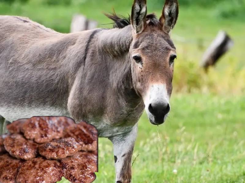 Hamburger köftesinde eşek eti kullanan firmanın adı belli oldu