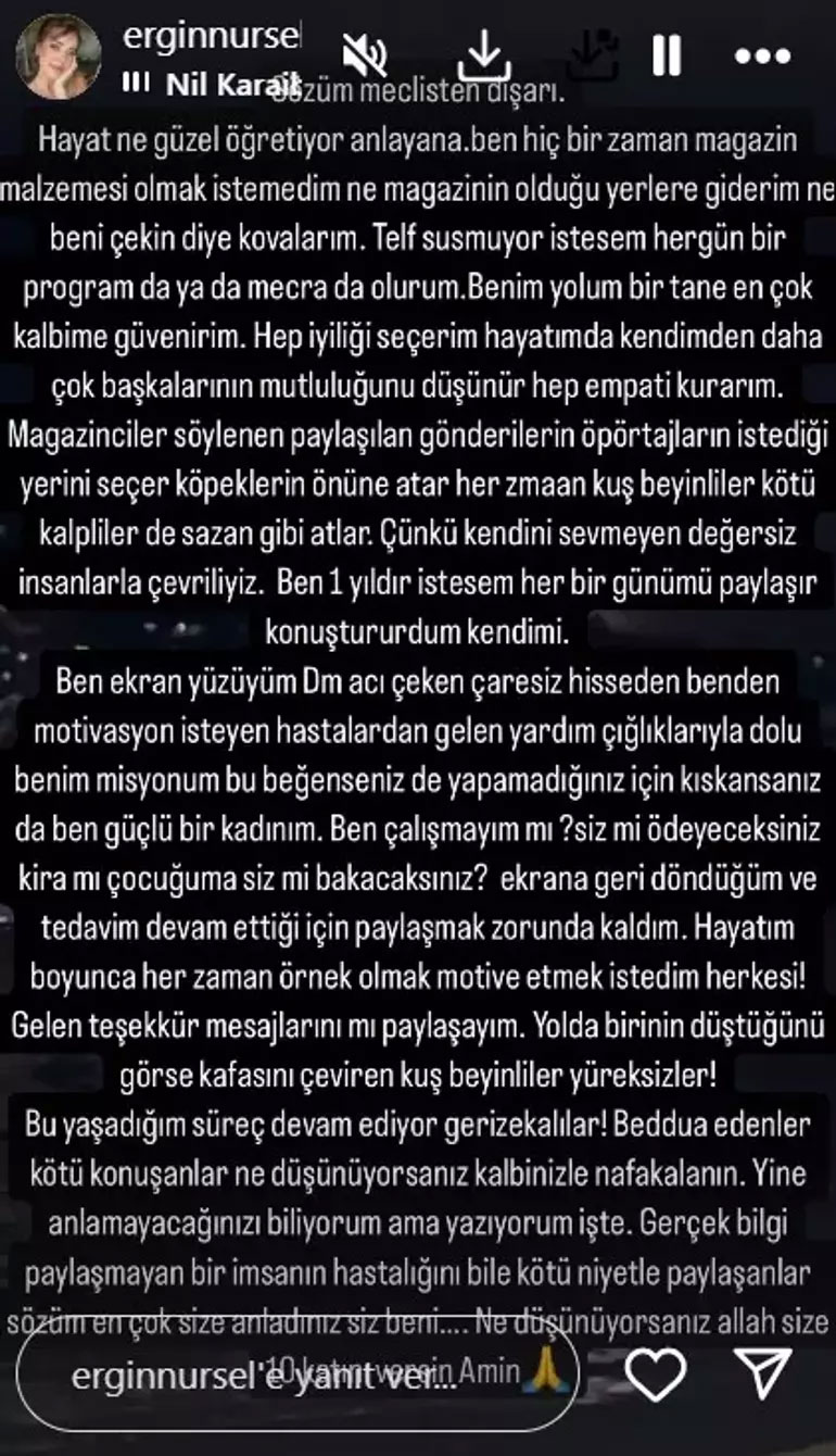 Nursel Erginn