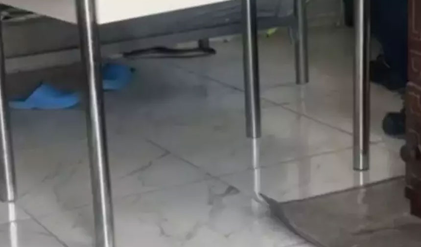 Ylım